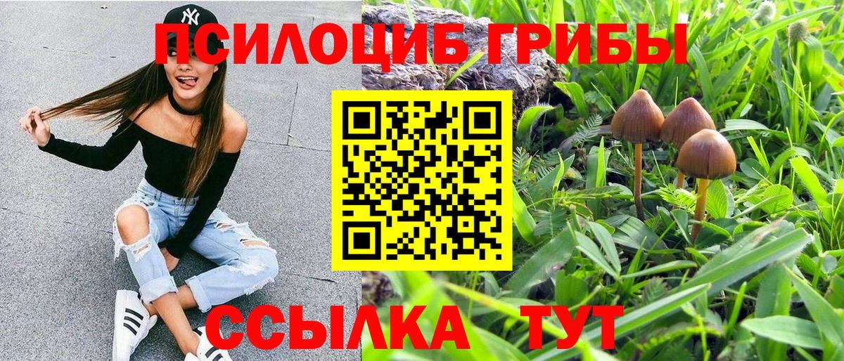 Псилоцибиновые грибы мицелий Фролово